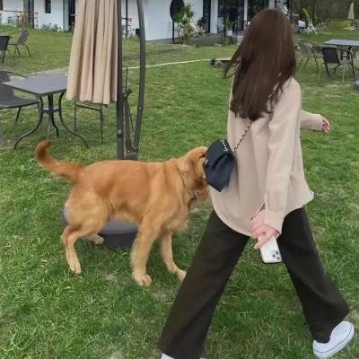 传奇王子